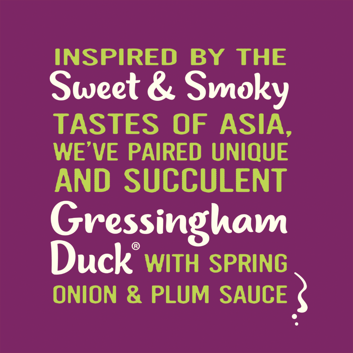 Stylised description of the Asian Duck seasoning