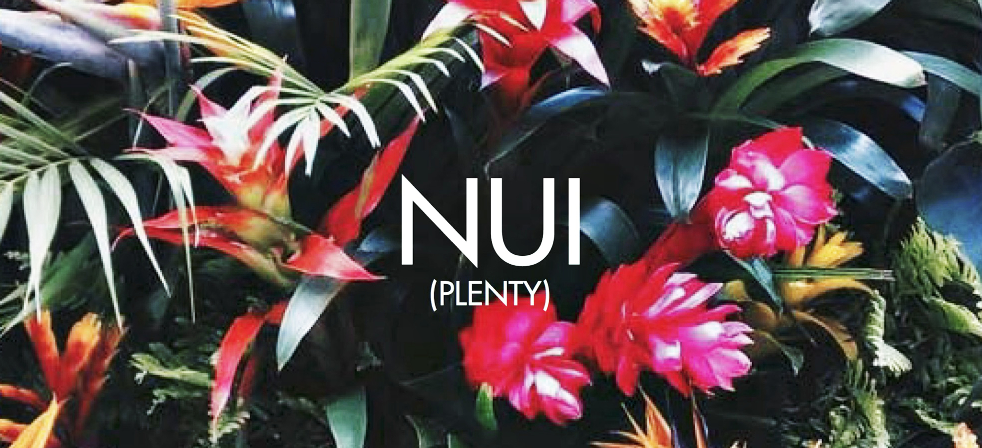 Nui, the Mauri word for plenty