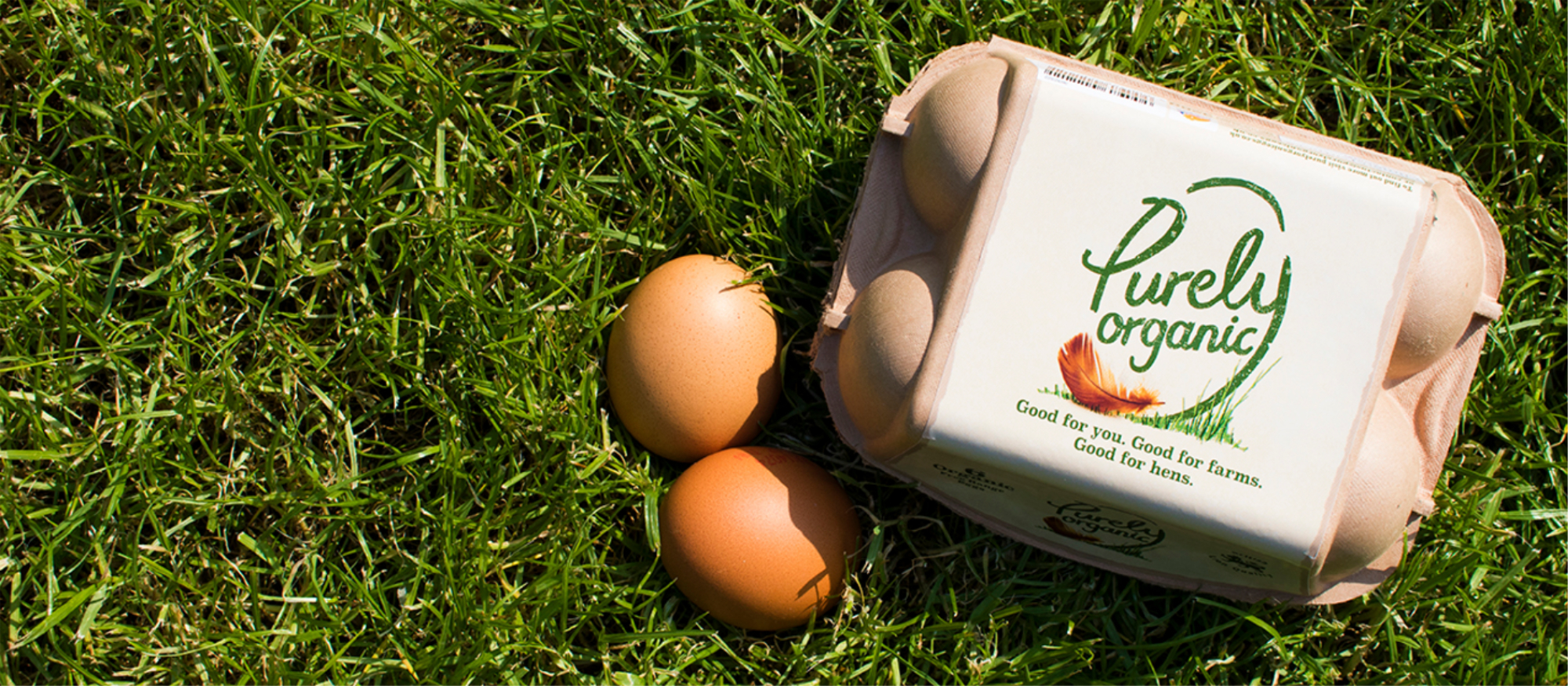Purely_Organic_Eggs_in_Grass