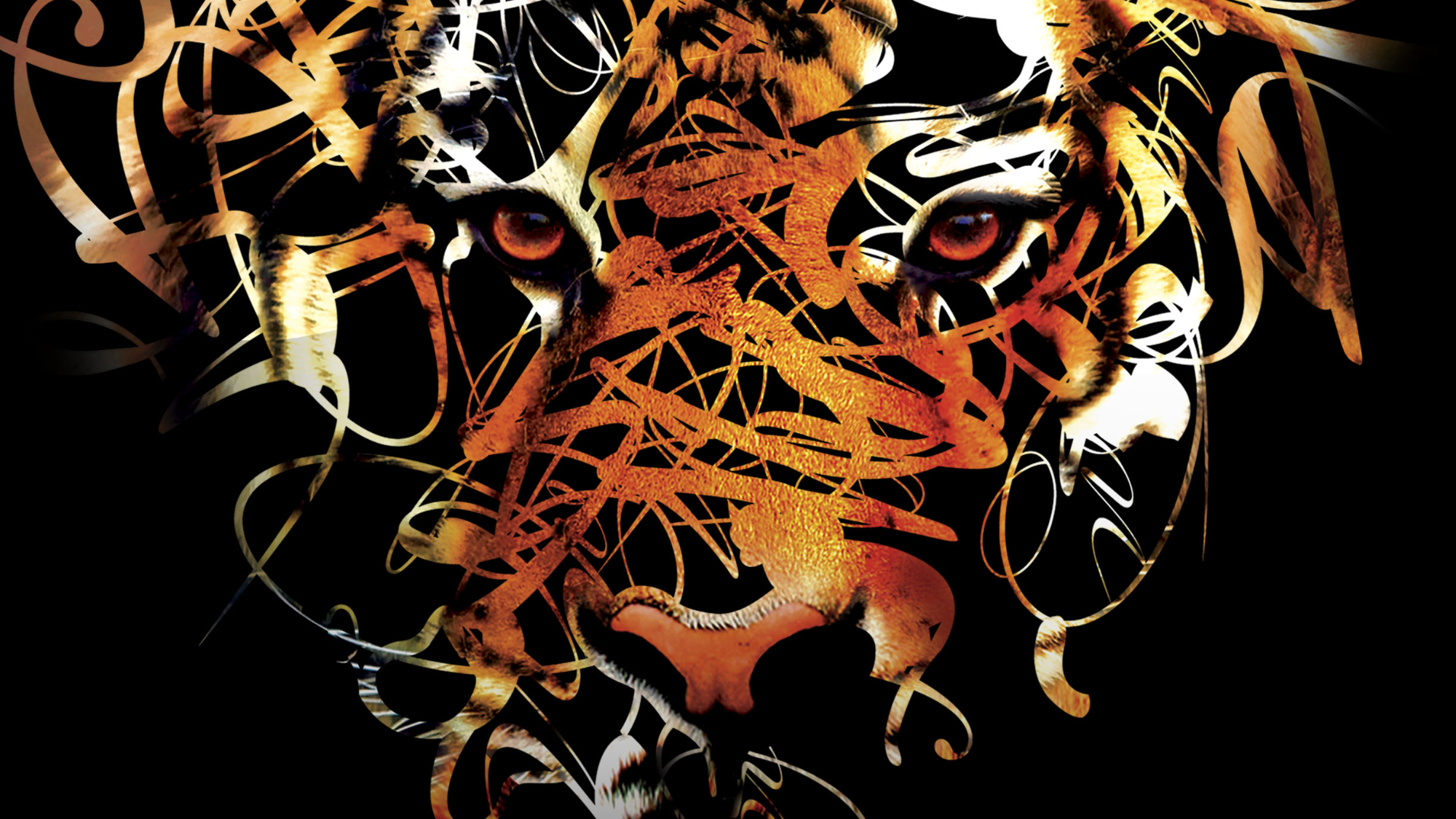 Wild_Header_img