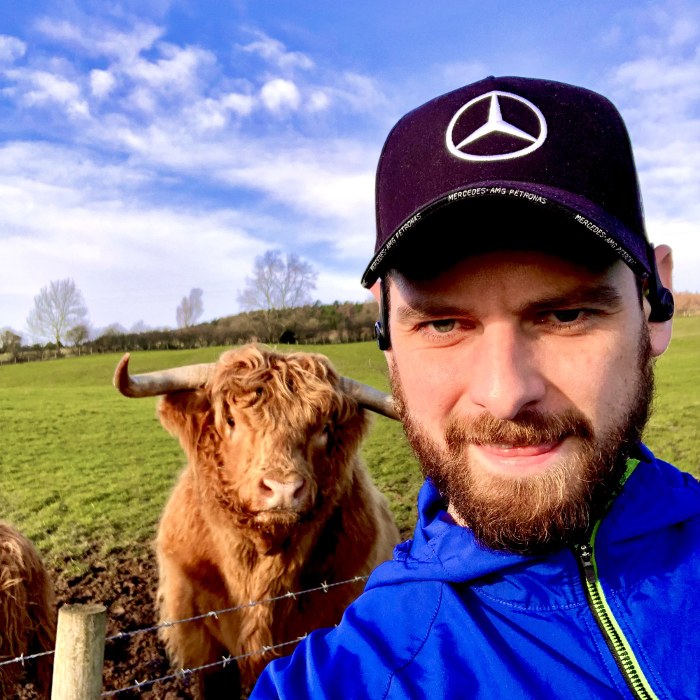 Highland_Cow_Selfie