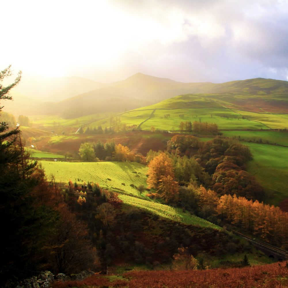 Sunrise_Fell